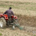 Producătorii agricoli hunedoreni au cerut ca Agenţia de Plăţi şi Intervenţie în Agricultură (APIA) Hunedoara să deconteze în acest an motorină utilizată la efectuarea lucrărilor mecanizate în agricultură în valoare […]
