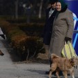 Primăria Hunedoarei a lansat un chestionar online referitor la câinii vagabonzi, care poate fi accesat pe pagina de Internet a instituţiei. Chestionarul propune două variante: programul CSR (capturare, sterilizare şi […]