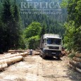 Situaţia tăierilor de lemn din Retezat a ajuns din nou în atenţia Parlamentului European! Patru europarlamentari au iniţiat o declaraţie scrisă în care solicită îmbunătăţirea protecţiei pădurilor în întreaga Uniune […]