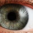 PREZBIOPIA Prezbiopia reprezintă diminuarea puterii de acomodare a ochiului odată cu înaintarea în vârstă, mai ales la distingerea obiectelor de aproape. Pe măsura apropierii de vârsta medie, cristalinul (lentila ochiului) […]