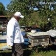 Încă o veste proastă pentru români: seceta din acest an a afectat grav şi apicultura, după agricultură, zootehnie şi producţia hidrocentralelor. Crescătorii de albine se plâng că au producţii mai […]