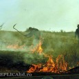 Zeci de incendii au izbucnit, numai în ultimele două săptămâni, în judeţul Hunedoara, producând pagube însemnate. Pompierii şi-au crescut efectivele de patrulare, iar poliţiştii au întocmit dosare penale, însă amenzile […]