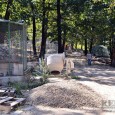 După aproape şase ani de încercări ale Consiliului Local de a obţine finanţare de la bugetul Ministerului Mediului pentru aducerea Grădinii Zoologice de la Hunedoara la standarde europene, proiectul nu […]