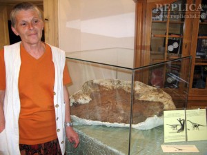 Omoplatul de dinozaur – gigant a fost expus doar pentru câteva ore la Haţeg, urmând să aflăm amănunte despre el abia peste câteva săptămâni