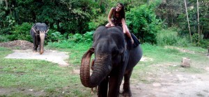 În “Orfelinatul elefanţilor” din Sri Lanka, Raluca l-a adoptat pe Raluk, între cei doi apărând instantaneu o relaţie afectuoasă cum rar au mai văzut angajaţii de acolo