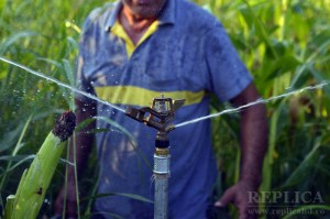 În lipsa banilor pentru sisteme complicate, câţiva agricultori hunedoreni, mai inventivi şi ajutaţi de cursurile de apă, apelează la soluţii mai simple şi mai ieftine