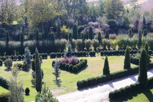 Pepiniera Villa Vinci din Banpotoc arată chiar mai bine decât grădina unui palat regal din Franţa  ori Anglia secolului al XlX-lea