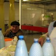 Atât ţăranii care îşi vând produsele în pieţe, cât şi consumatorii sunt revoltaţi de decizia de a nu mai permite comercializarea laptelui care nu respectă normele UE.