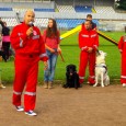 Este trainer internaţional şi specialist în psihologie canină, team-liderul României la Search and Rescue şi unul dintre cei trei lectori de psihologie canină din ţara noastră.