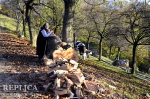 Octombrie este luna în care gospodarii de la sate rezolvă în mare parte una dintre provocările iernii: stocul de lemne pentru foc