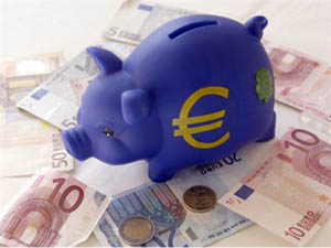 bani porc euro
