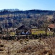 Între satele Rişca (din comuna Baia de Criş) şi Tomeşti (din comuna cu acelaşi nume) un pâlc de case trecut pe harta judeţului Hunedoara sub numele de “Valea Mare de […]