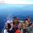 În ciuda situaţiei dificile cu care se confruntă Grecia şi a instabilităţii care caracterizează această perioadă, hunedorenii au încredere în turismul grecesc şi continuă să cumpere vacanţe pe litoralul mărilor […]