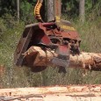 Un proiect de hotărâre de Guvern prevede compensaţii de până la 500 de euro pe hectar pe an pentru proprietarii de păduri cu funcţie de protecţie sau din arii protejate, […]