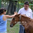 Centrul Interactiv pentru Educaţie Nonformală şi Voluntariat de la Hunedoara a deschis un nou modul destinat copiilor şi tinerilor nevoiaşi din Hunedoara: intervenţia psiho-socială asistată de animale. Copiii învaţă să […]