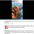 The Telegraph, unul dintre cele mai importante cotidiane din Marea Britanie, a publicat o ştire bizară, în care reporterii susţin că proprietarul unor lei din Hunedoara face baie împreună cu […]